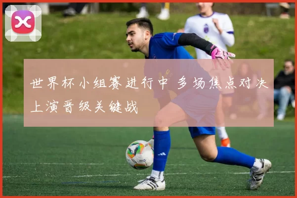 世界杯小组赛进行中 多场焦点对决上演晋级关键战