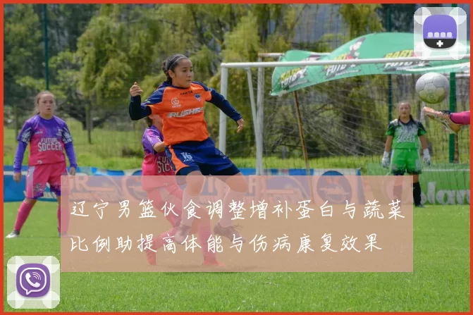 辽宁男篮伙食调整增补蛋白与蔬菜比例助提高体能与伤病康复效果