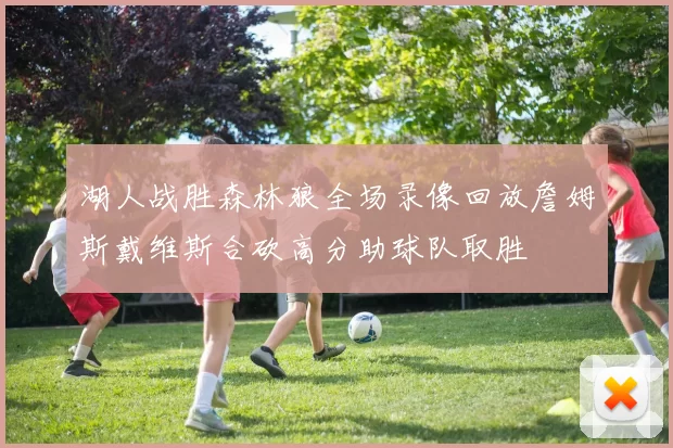 湖人战胜森林狼全场录像回放詹姆斯戴维斯合砍高分助球队取胜