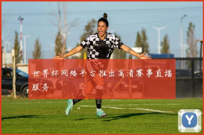 世界杯网络平台推出高清赛事直播服务
