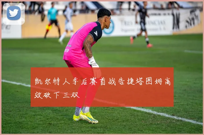 凯尔特人季后赛首战告捷塔图姆高效砍下三双