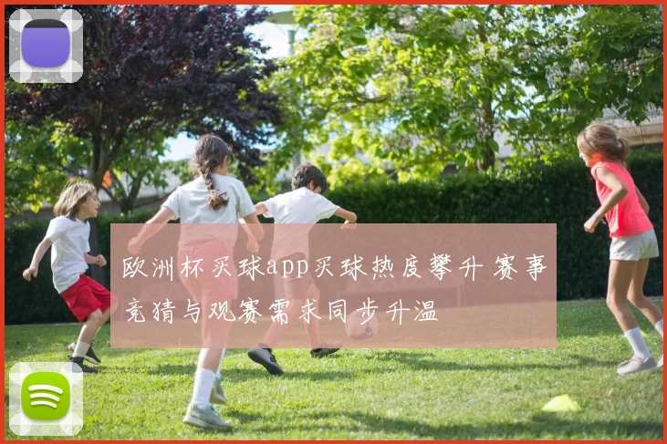 欧洲杯买球app买球热度攀升 赛事竞猜与观赛需求同步升温